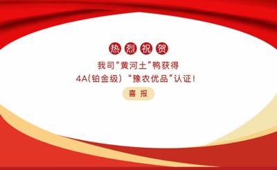 【喜報】—我司黃河土鴨獲4A(鉑金級）“豫農(nóng)優(yōu)品”認(rèn)證！